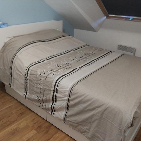 Ferienwohnung Au Bon Acceuil Channay-sur-Lathan Exterior foto