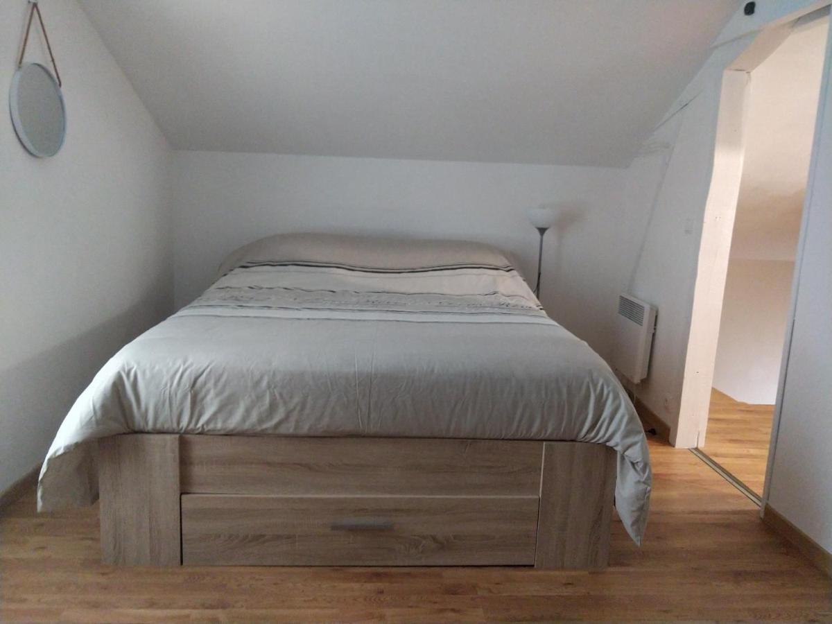 Ferienwohnung Au Bon Acceuil Channay-sur-Lathan Exterior foto